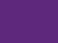 Hi-Vis 2 Band + Brace Waistcoat Purple