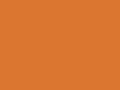 Ladies` Micro Fleece Full Zip - FWI51 Pumpkin Orange