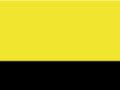 Werkjas High Visibilty Result R452X Fluorescent Yellow-Black