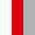 Kinder Sportshirt proact PA437 white-red-grey